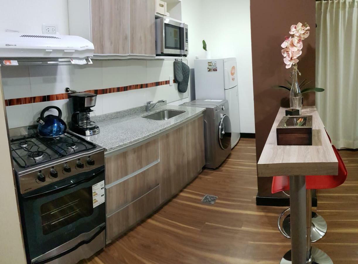 Departamento Zona Centrica *