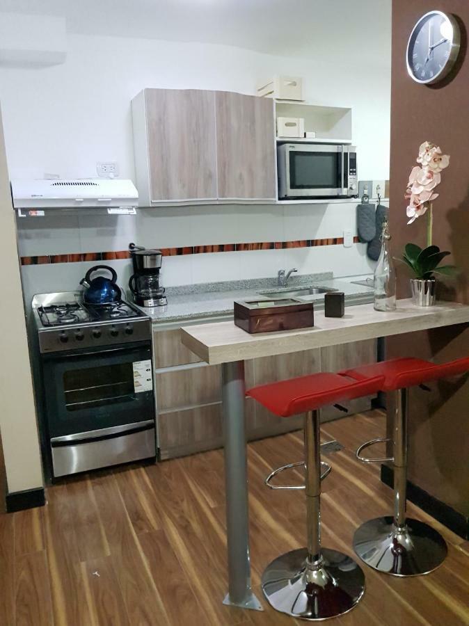 Departamento Zona Centrica *